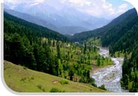 Pahalgam Tour Jammu and Kashmir